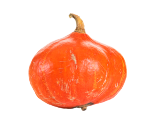 Red Kuri squash isolated with transparent background