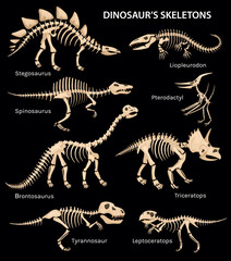 Fototapeta na wymiar Dinosaur Skeletons Black Set