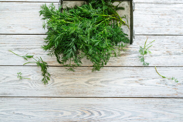 Herbs, organic dill in rural tray. Natural food ingredients
