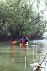 Middle aged man paddle yellow kayak near green trees at spring