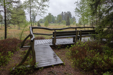 Fototapeta premium wet pavement with a bench and railing by a bog on a rainy day