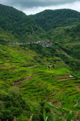 Fototapeta na wymiar Rice terraces at Maligcong in northern Luzon Island, Philippines.