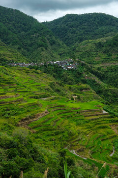 Rice terraces at Maligcong in northern Luzon Island, Philippines.