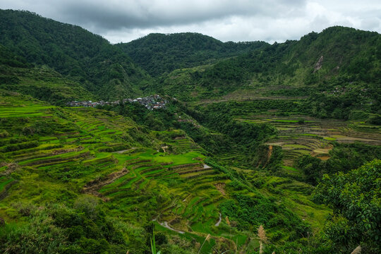 Rice terraces at Maligcong in northern Luzon Island, Philippines.