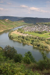 Fototapeta na wymiar Sommerliche Flusslandschaft der Mosel, Rheinland-Pfalz