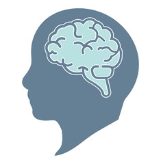 Brain in the human head think icon