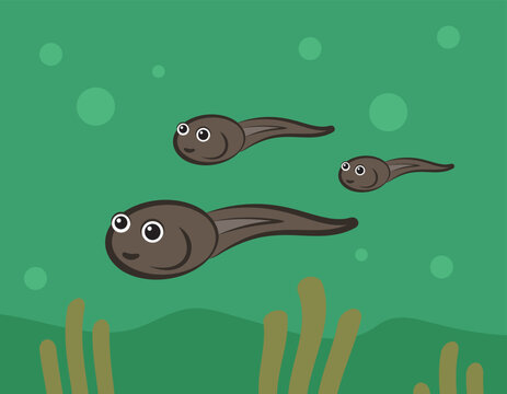 cartoon tadpoles swimming in green water clip art preview