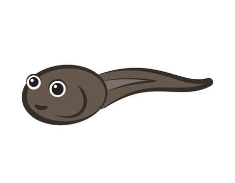 brown tadpole cartoon on white background clip art preview