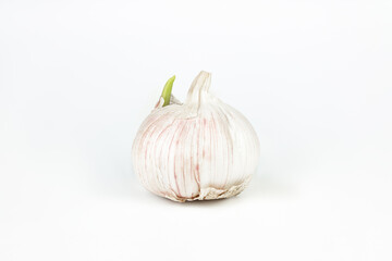 Fresh garlic with a sprout on white background.
