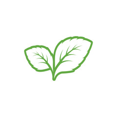 Green mint leaves ecology nature linear element vector icon, Leaf linear Icon, mint leaves logo vector illustration