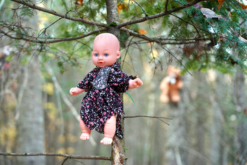 A forest with doll and plush. A forest walk for children.