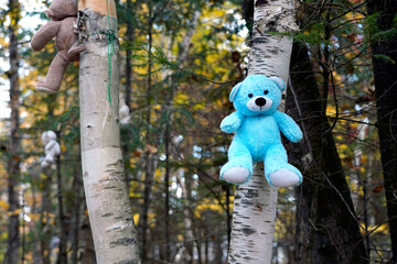 A forest with plush toys. A forest walk for children.