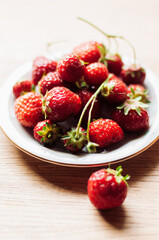 Home-grown, organic garden strawberries freshly harvested on white plate with wooden background in kitchen