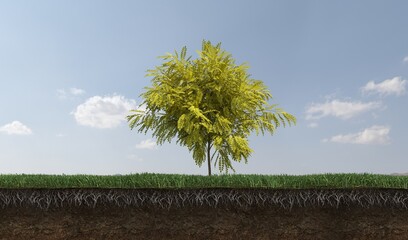 Obraz premium Deciduous tree and soil cut under it, 3d render