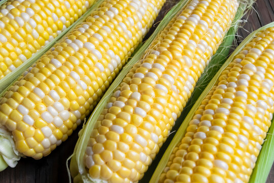 corn ears are lying on a wooden table. Yellow-white corn of the Raquel variety. Colored corn on the table.