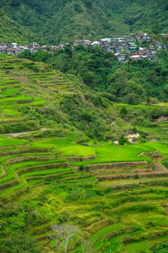 Rice terraces at Maligcong in northern Luzon Island, Philippines.
