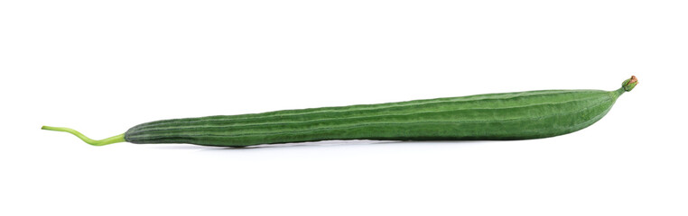 fresh angled luffa (ribbed gourd) fruits with isolated on white background.