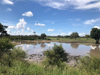 South Africa - Beautiful Country - Jacaré