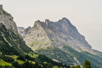 Fototapeta na wymiar Grindelwald, Eiger, Eigernordwand, Alpen, Berner Oberland, Unterer Grindelwaldgletscher, Kleine Scheidegg, Wanderweg, Bergdorf, Sommer, Schweiz