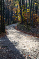 Obraz premium Path for hiking