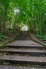 Steintreppe durch einen Wald