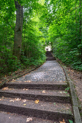Waldweg mit Steinstufen