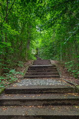 Steintreppe im Laubwald