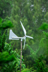 wind turbine on a tree