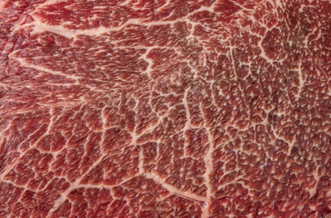 Closeup of raw wagyu shoulder roast meat