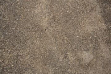 Soil surface texture. The background of the ground