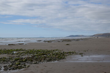 the remains of the petrified forest on Borth beach during low tide