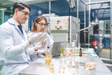chemical medicine scientist working research for CBD oil from organic cannabis hemp plant in medical science laboratory, test a ganja nature herb to make a alternative herbal extract drug for health
