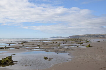 the remains of the petrified forest on Borth beach during low tide