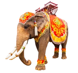 Rolgordijnen Elephant has beautiful and large. colorful painted elephant head ,Decorated elephants in Thailand. © saravuth