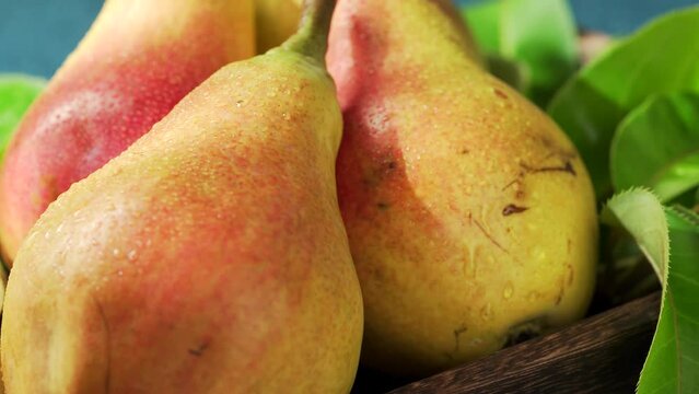 Fresh eggplant pears on blue background