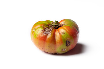 Organic, natural tomato, rotten, hole tomato