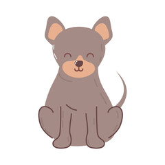 little dog icon