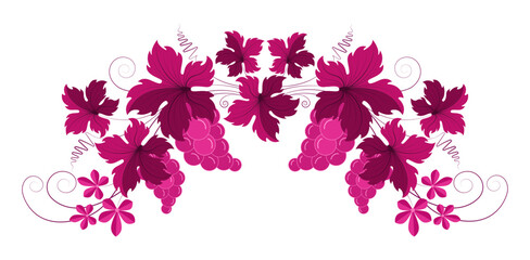 Ornament grape branch with bunches of grapes and leaves. Wine and winemaking concept design element. Vintage pattern for menus and wine labels
