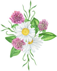 Watercolor wildflowers bouquets, daisy and clover arrangements, wildflower compositions
