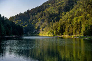 Mountain lake in a pine forest, trees reflect in the surface of the water