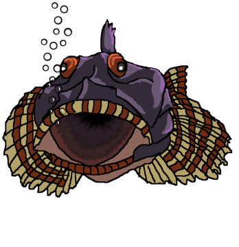 Knurrhahn