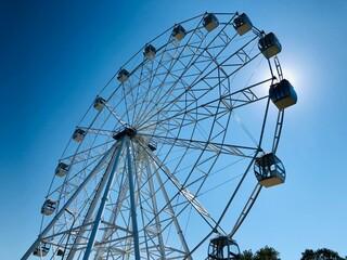 ferris wheel in the park