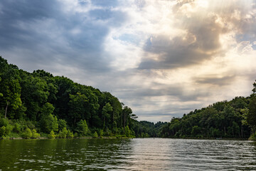 Naklejka premium A bay surrounded by forest with logs sticking out of the water in Taylorsville lake in Central Kentucky
