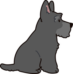 Simple and adorable Scottish Terrier illustration sitting in side view