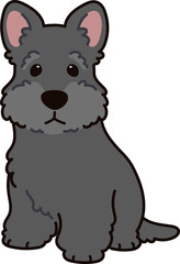 Simple and adorable Scottish Terrier illustration sitting in front view