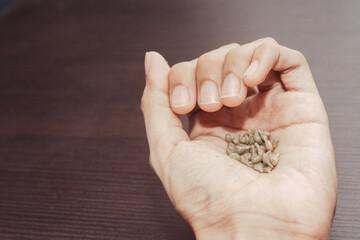 hands holding grape seeds on isolated wooden background. Home garden planning concept. top view with copyspace to fill. One person.