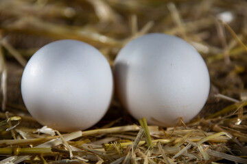 I have my mother in the kitchen...