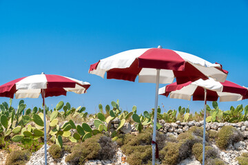 Beach umbrella and cactus at the beach against blue sky ready for vacations. - Bari, Puglia, Italy