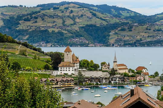 Spiez, Schloss Spiez, Schlosskirche, Stadt, Seeufer, Boote, Hafen, Thunersee, Schifffahrt, Seerundfahrt, Weinberge, Beatenberg, Niederhorn, Aussichtspunkt, Sommer, Schweiz