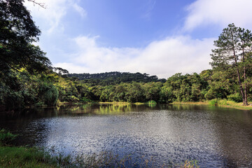 Lago em meio a mata atlântica em parque estadual, São Paulo, Brasil, Floresta preservada, preservação ambiental